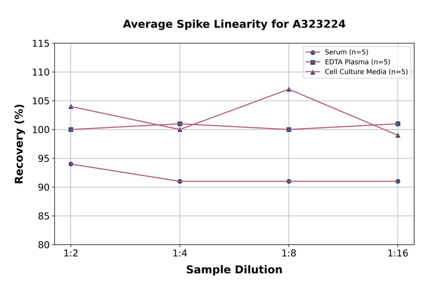Linearity - Mouse Osteoprotegerin ELISA Kit (Small Sample Volume) (A323224) - Antibodies.com