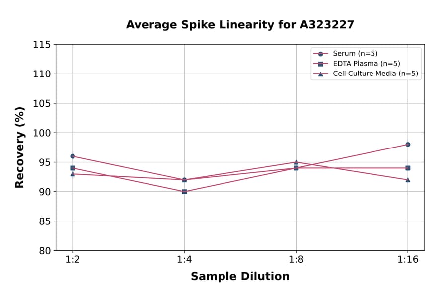 Linearity - Mouse IL-12 p40 ELISA Kit (Small Sample Volume) (A323227) - Antibodies.com