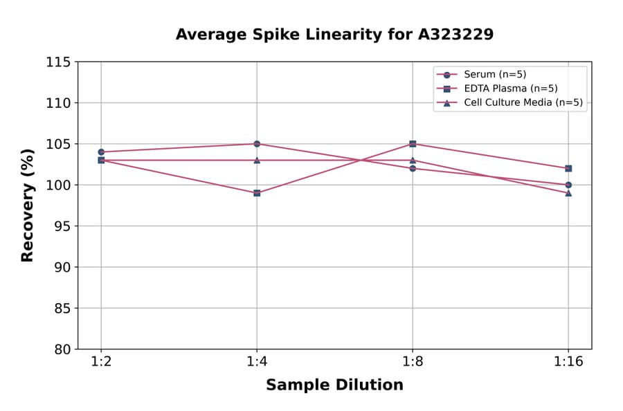 Linearity - Mouse IGFBP2 ELISA Kit (Small Sample Volume) (A323229) - Antibodies.com