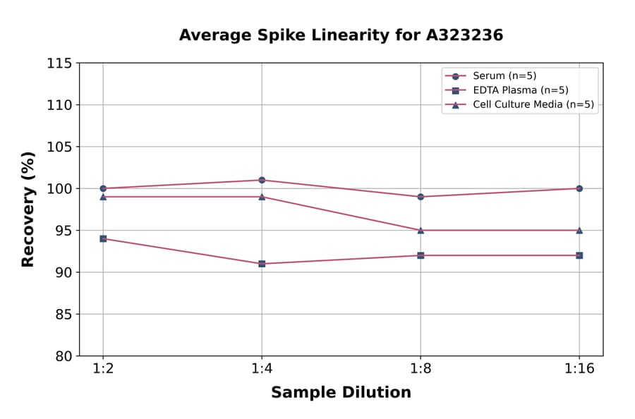 Linearity - Mouse Lipocalin-2/NGAL ELISA Kit (Small Sample Volume) (A323236) - Antibodies.com