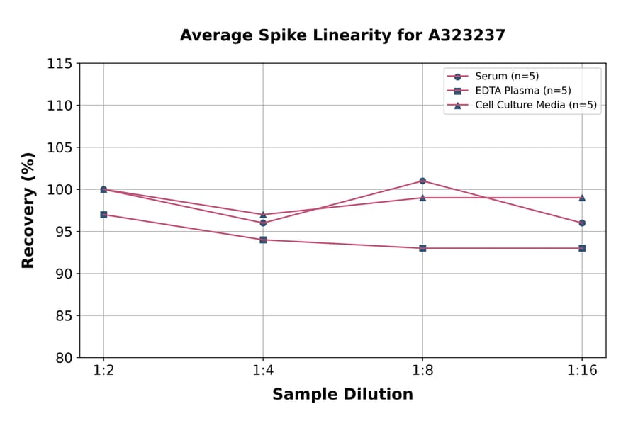 Linearity - Mouse VEGF Receptor 2 ELISA Kit (Small Sample Volume) (A323237) - Antibodies.com