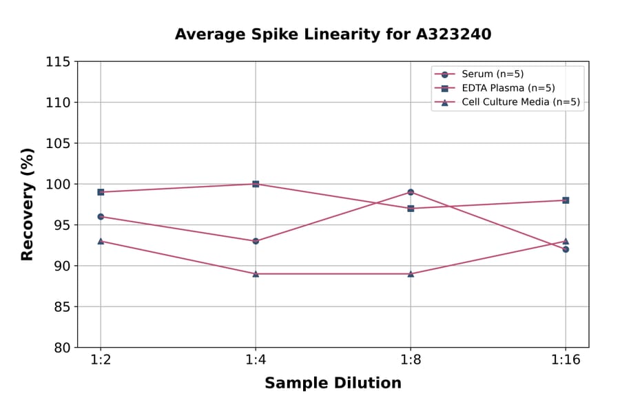 Linearity - Mouse MCP2 ELISA Kit (Small Sample Volume) (A323240) - Antibodies.com