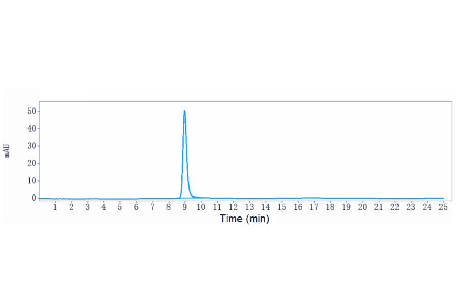 SEC-HPLC - Abelacimab Biosimilar - Anti-Factor XI Antibody - Low endotoxin, Azide free (A323262) - Antibodies.com