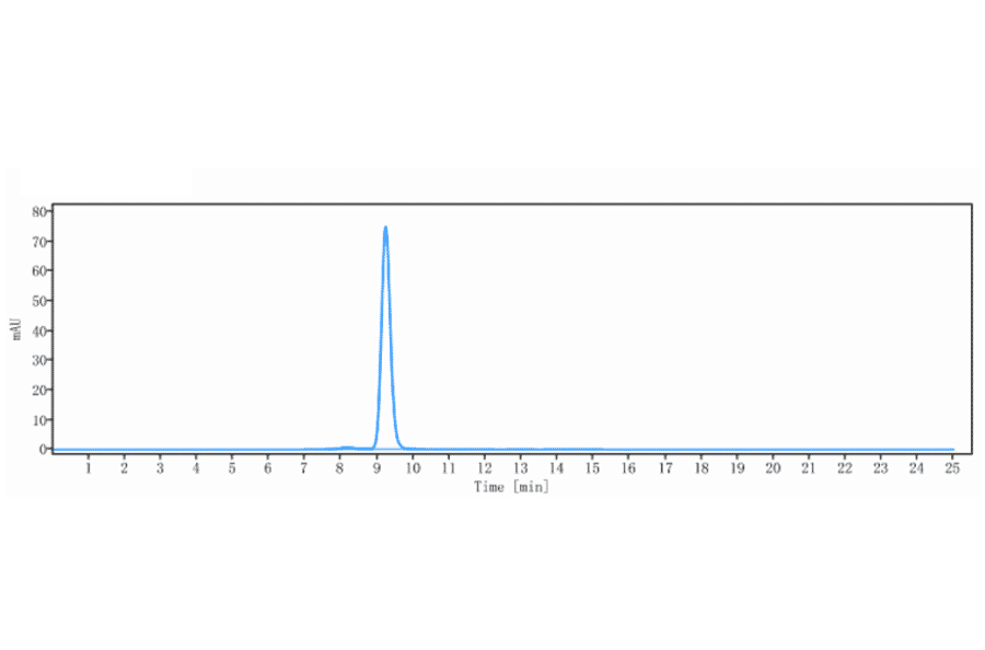 SEC-HPLC - Abituzumab Biosimilar - Anti-Integrin alpha V Antibody - Low endotoxin, Azide free (A323263) - Antibodies.com