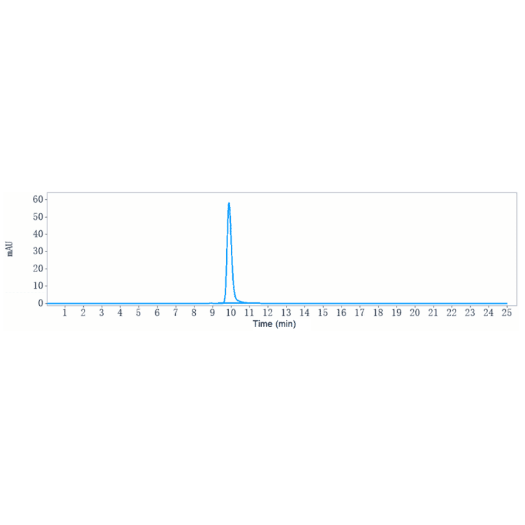 SEC-HPLC - Actoxumab Biosimilar - Anti-Clostridium difficile Toxin A Antibody - Low endotoxin, Azide free (A323266) - Antibodies.com
