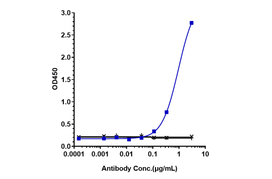 ELISA - Aducanumab Biosimilar - Anti-beta Amyloid Antibody - Low endotoxin, Azide free (A323270) - Antibodies.com