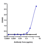 ELISA - Aducanumab Biosimilar - Anti-beta Amyloid Antibody - Low endotoxin, Azide free (A323270) - Antibodies.com