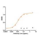 ELISA - Alomfilimab Biosimilar - Anti-ICOS Antibody - Low endotoxin, Azide free (A323274) - Antibodies.com