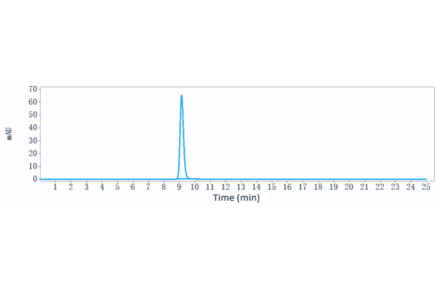 SEC-HPLC - Alsevalimab Biosimilar - Anti-B7H4 Antibody - Low endotoxin, Azide free (A323275) - Antibodies.com