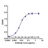 ELISA - Amivantamab Biosimilar - Anti-Met (c-Met) Antibody - Low endotoxin, Azide free (A323277) - Antibodies.com