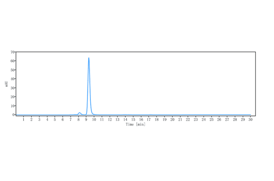SEC-HPLC - Apitegromab Biosimilar - Anti-GDF8/Myostatin Antibody - Low endotoxin, Azide free (A323286) - Antibodies.com