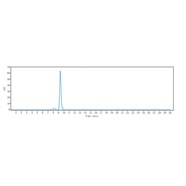SEC-HPLC - Apitegromab Biosimilar - Anti-GDF8/Myostatin Antibody - Low endotoxin, Azide free (A323286) - Antibodies.com
