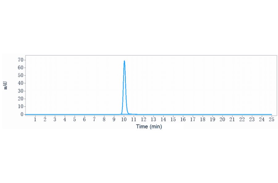 SEC-HPLC - Astegolimab Biosimilar - Anti-ST2 Antibody - Low endotoxin, Azide free (A323289) - Antibodies.com