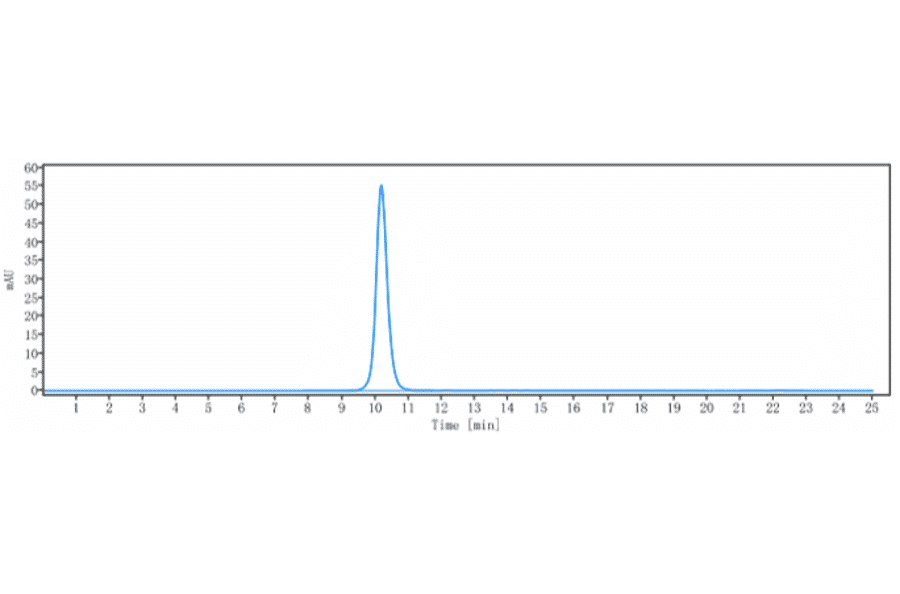 SEC-HPLC - Atezolizumab Biosimilar - Anti-PD-L1 Antibody - Low endotoxin, Azide free (A323290) - Antibodies.com