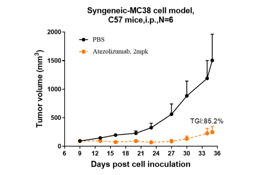 Tumor growth inhibition - Atezolizumab Biosimilar - Anti-PD-L1 Antibody - (A323290)