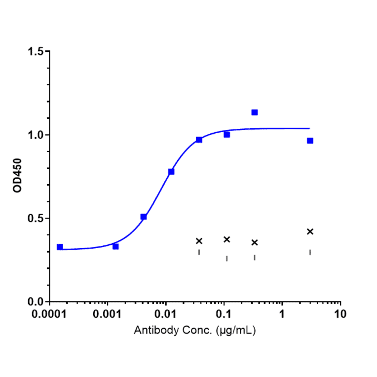 ELISA - Avdoralimab Biosimilar - Anti-C5a-R Antibody - Low endotoxin, Azide free (A323293) - Antibodies.com
