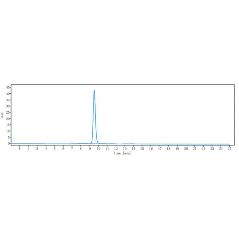 SEC-HPLC - Avelumab Biosimilar - Anti-PD-L1 Antibody - Low endotoxin, Azide free (A323294) - Antibodies.com