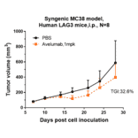 Research in vivo - Avelumab Biosimilar - Anti-PD-L1 Antibody - Low endotoxin, Azide free (A323294) - Antibodies.com