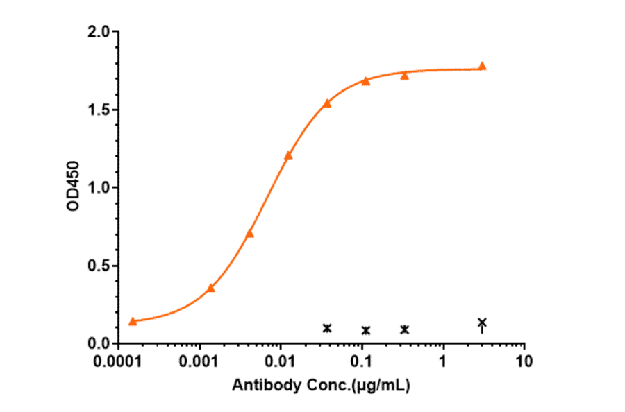 Basiliximab Biosimilar - IL-2 Receptor alpha Antibody (A323302)