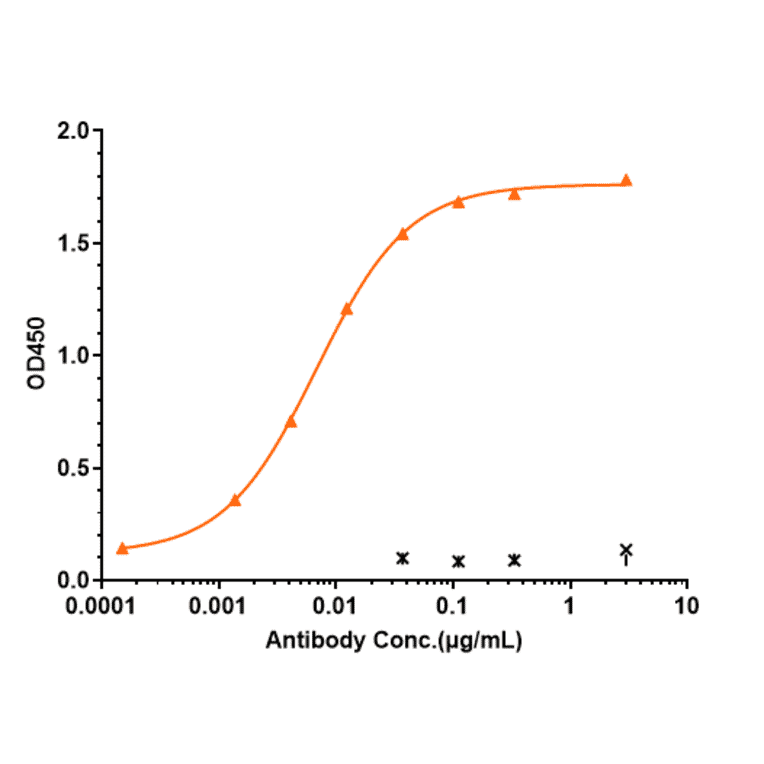 Basiliximab Biosimilar - IL-2 Receptor alpha Antibody (A323302)