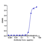 ELISA - Batoclimab Biosimilar - Anti-FCGRT/FCRN Antibody - Low endotoxin, Azide free (A323303) - Antibodies.com