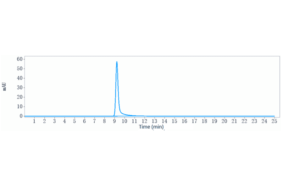 SEC-HPLC - Belantamab Biosimilar - Anti-BCMA Antibody - Low endotoxin, Azide free (A323308) - Antibodies.com
