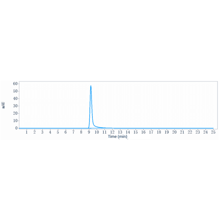 SEC-HPLC - Belantamab Biosimilar - Anti-BCMA Antibody - Low endotoxin, Azide free (A323308) - Antibodies.com