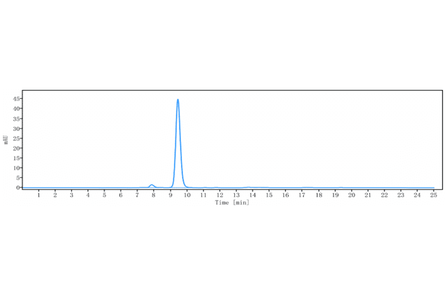 SEC-HPLC - Belimumab Biosimilar - Anti-BAFF Antibody - Low endotoxin, Azide free (A323309) - Antibodies.com