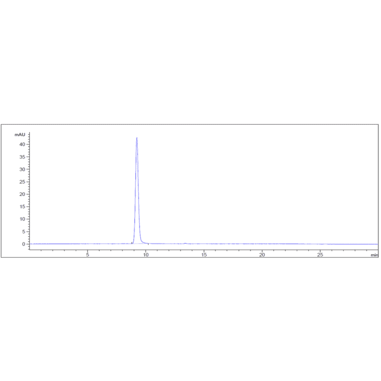 SEC-HPLC - Bemarituzumab Biosimilar - Anti-FGFR2 Antibody - Low endotoxin, Azide free (A323310) - Antibodies.com