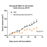 Research in vivo - Bemarituzumab Biosimilar - Anti-FGFR2 Antibody - Low endotoxin, Azide free (A323310) - Antibodies.com