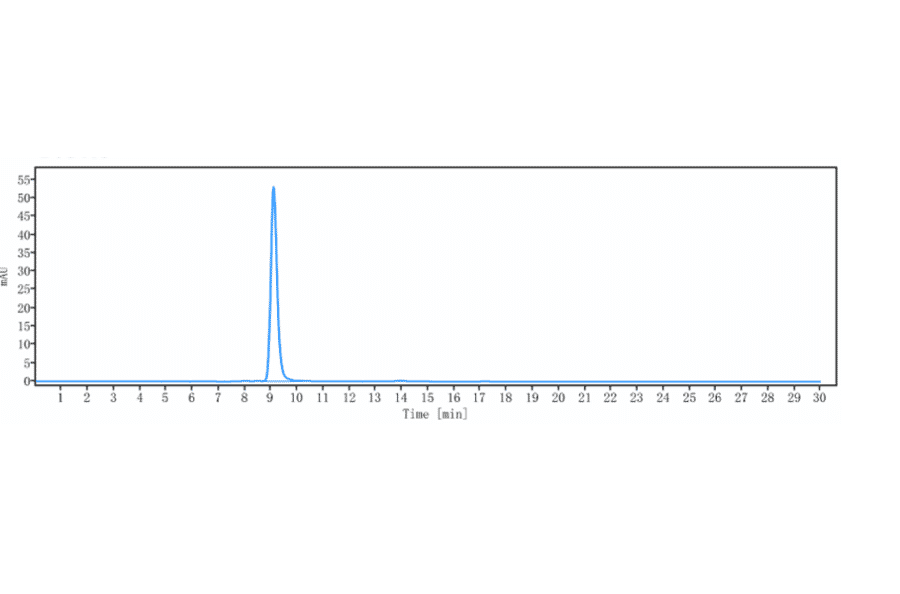 SEC-HPLC - Bermekimab Biosimilar - Anti-IL-1 alpha Antibody - Low endotoxin, Azide free (A323314) - Antibodies.com