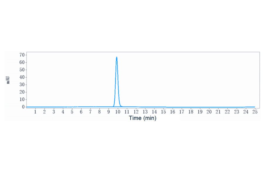SEC-HPLC - Bersanlimab Biosimilar - Anti-ICAM1 Antibody - Low endotoxin, Azide free (A323315) - Antibodies.com