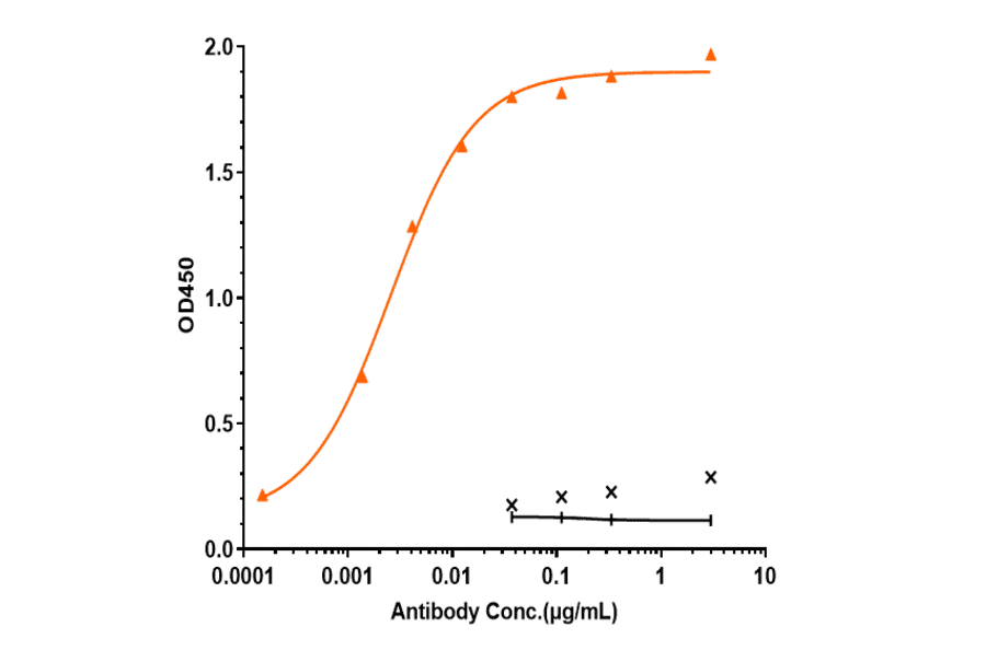 ELISA - Bersanlimab Biosimilar - Anti-ICAM1 Antibody - Low endotoxin, Azide free (A323315) - Antibodies.com