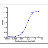 ELISA - Bexmarilimab Biosimilar - Anti-Stabilin-1 Antibody - Low endotoxin, Azide free (A323316) - Antibodies.com