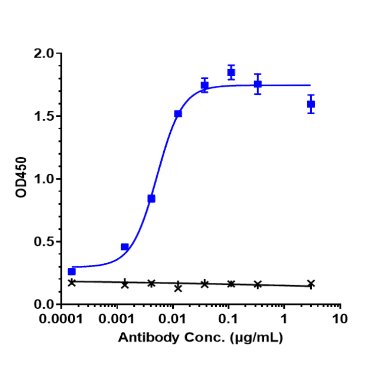 ELISA - Bimagrumab Biosimilar - Anti-Activin Receptor Type IIB/ACVR2B Antibody - Low endotoxin, Azide free (A323317) - Antibodies.com