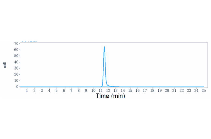 SEC-HPLC - Anti-VEGFA Antibody [Research Grade Biosimilar] - Low endotoxin, Azide free (A323319) - Antibodies.com