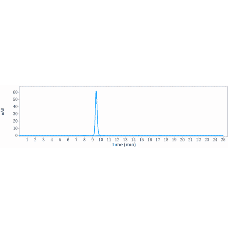 SEC-HPLC - Anti-VEGFA Antibody [Research Grade Biosimilar] - Low endotoxin, Azide free (A323321) - Antibodies.com