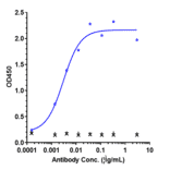 ELISA - Anti-VEGFA Antibody [Research Grade Biosimilar] - Low endotoxin, Azide free (A323321) - Antibodies.com