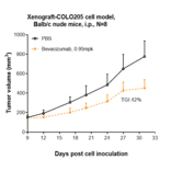 Research in vivo - Anti-VEGFA Antibody [Research Grade Biosimilar] - Low endotoxin, Azide free (A323321) - Antibodies.com