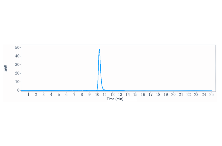 SEC-HPLC - Bivatuzumab Biosimilar - Anti-CD44v6 Antibody - Low endotoxin, Azide free (A323324) - Antibodies.com
