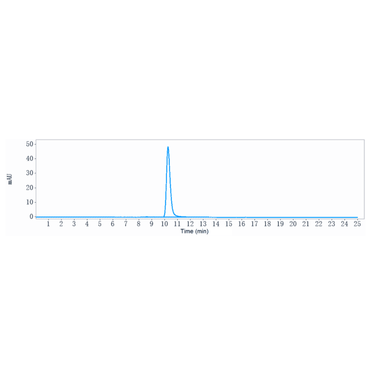 SEC-HPLC - Bivatuzumab Biosimilar - Anti-CD44v6 Antibody - Low endotoxin, Azide free (A323324) - Antibodies.com