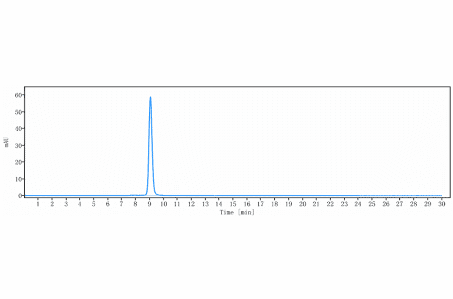 SEC-HPLC - Bleselumab Biosimilar - Anti-CD40 Antibody - Low endotoxin, Azide free (A323325) - Antibodies.com