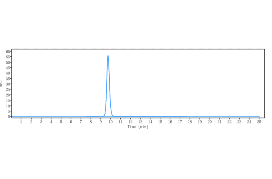 SEC-HPLC - Brazikumab Biosimilar - Anti-IL-23 Antibody - Low endotoxin, Azide free (A323328) - Antibodies.com
