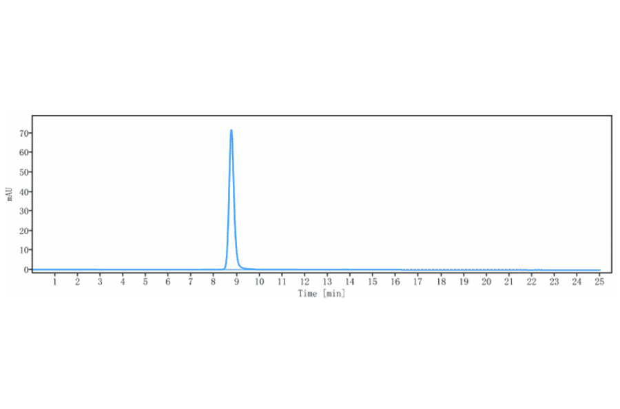 SEC-HPLC - Brentuximab Biosimilar - Anti-CD30 Antibody - Low endotoxin, Azide free (A323330) - Antibodies.com