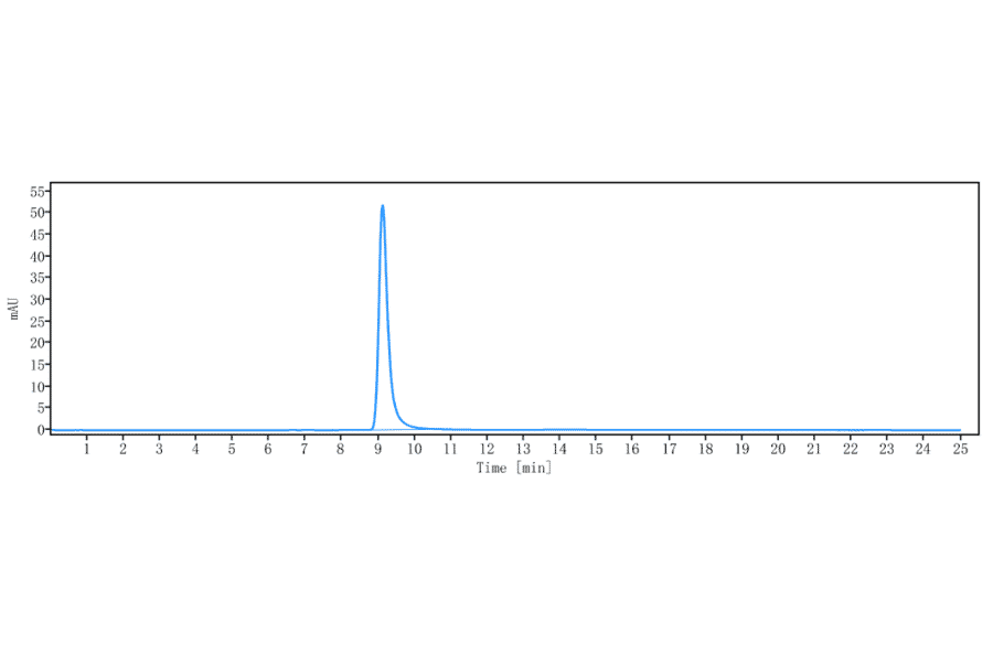 SEC-HPLC - Briakinumab Biosimilar - Anti-IL-12A + IL-12B Antibody - Low endotoxin, Azide free (A323331) - Antibodies.com
