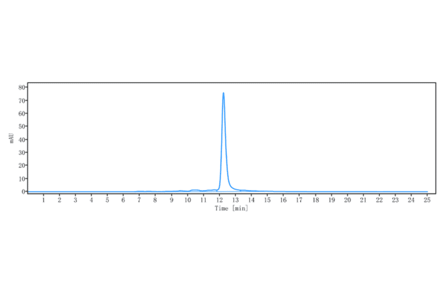 SEC-HPLC - Cabiralizumab Biosimilar - Anti-CSF-1-R Antibody - Low endotoxin, Azide free (A323336) - Antibodies.com