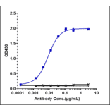 ELISA - Camrelizumab Biosimilar - Anti-PD1 Antibody - Low endotoxin, Azide free (A323338) - Antibodies.com