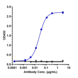 ELISA - Carlumab Biosimilar - Anti-MCP1 Antibody - Low endotoxin, Azide free (A323344) - Antibodies.com