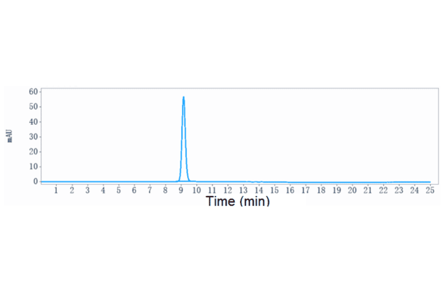 SEC-HPLC - Cendakimab Biosimilar - Anti-IL-13 Antibody - Low endotoxin, Azide free (A323349) - Antibodies.com