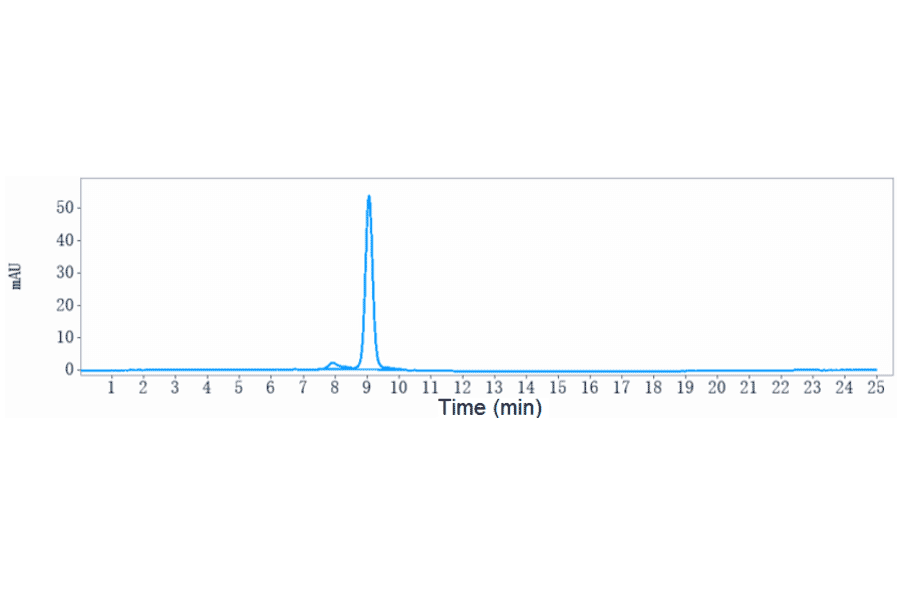 SEC-HPLC - Cevostamab Biosimilar - Anti-FCRL5 Antibody - Low endotoxin, Azide free (A323356) - Antibodies.com